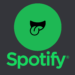 How to Vary Your Username On Spotify