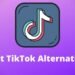 5 Best Alternatives To TikTok In 2020-2021