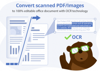 Splitting your PDF made easy with PDFbear
