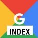 How to Have Google Index Your New WordPress Site Instantly