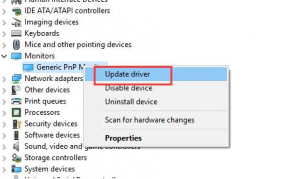 Try Uninstalling Generic PnP Monitor Driver