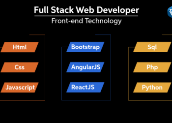 Top 5 Advantages Of Hiring A Full Stack Python Developer in 2021