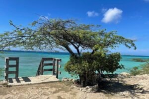 Private beach tours