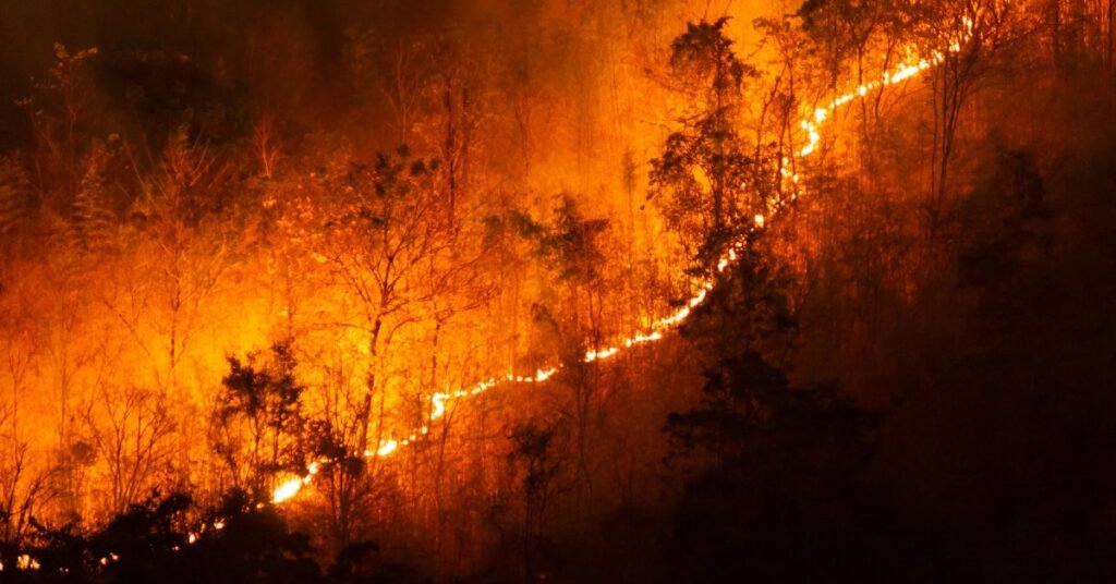 alerta de bandera roja (clima propicio para incendios) (2024)