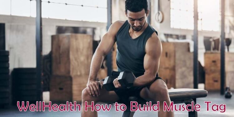 Full Detail Wellhealth How to Build Muscle Tag 2024