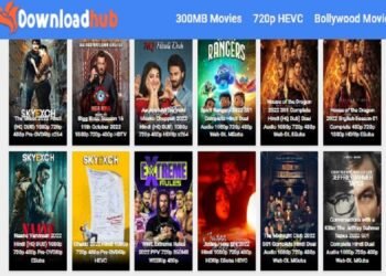 Top 5 Movies to Download from Downloadhub4u 2024