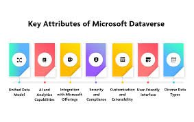 Key five attributes and capabilities: