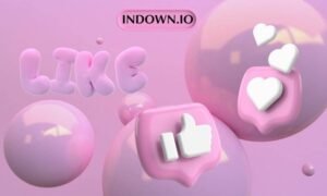 indown.io: